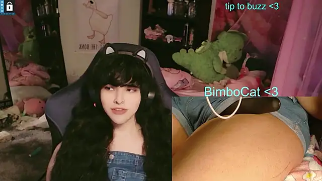 BimboCat webkamerás műsora