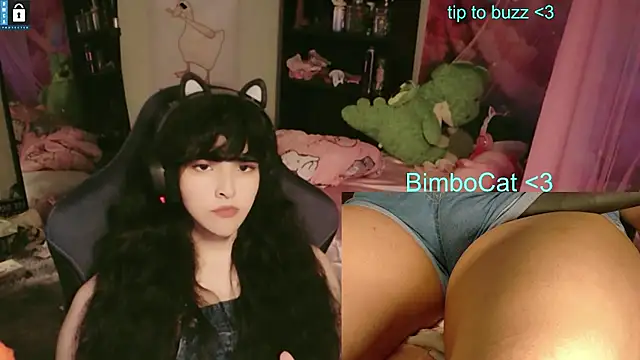 Show de BimboCat na webcam