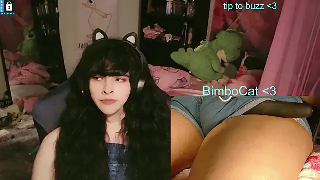 BimboCat 웹캠 쇼