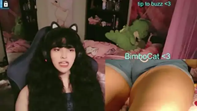 BimboCat Pertunjukan Webcam