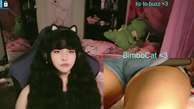BimboCat: вебкам-шоу