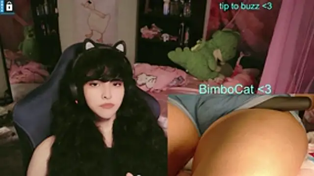 BimboCat Webcam Show