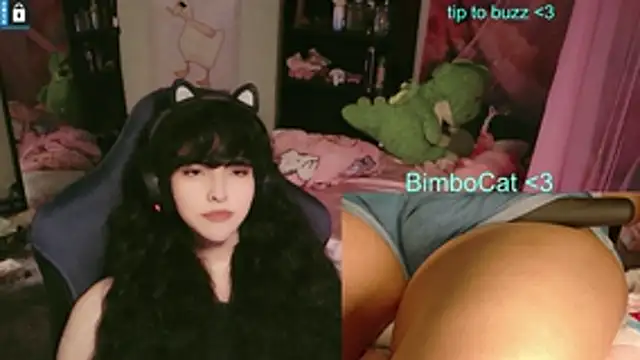 BimboCat Webcam Show