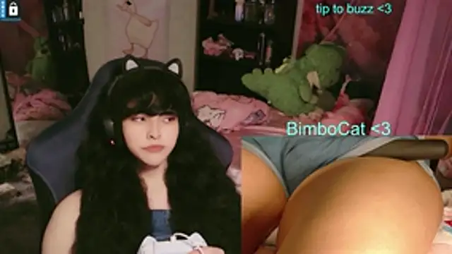 BimboCat Webcam show