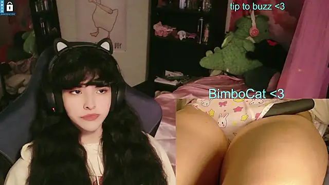 BimboCat Webcam-Show