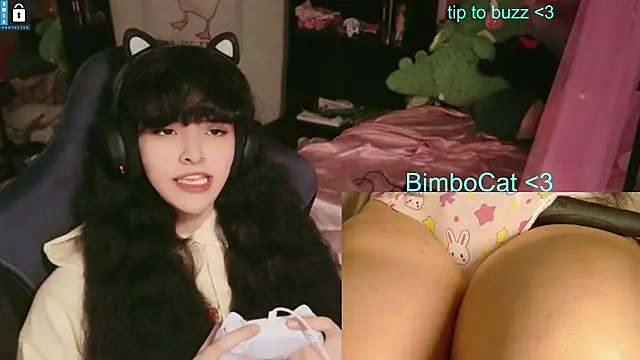 BimboCat Show in webcam