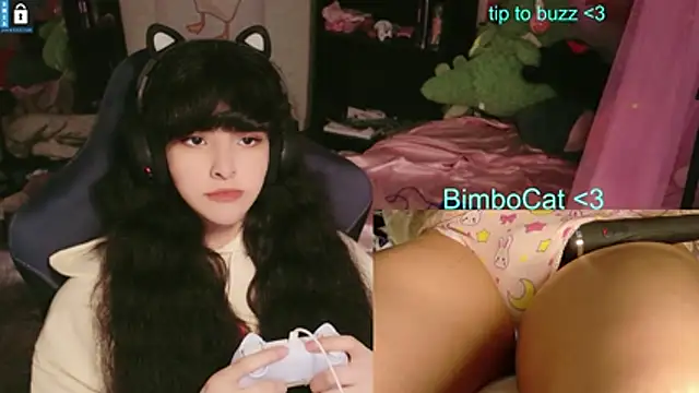 BimboCat: διαδικτυακό σόου στην κάμερα