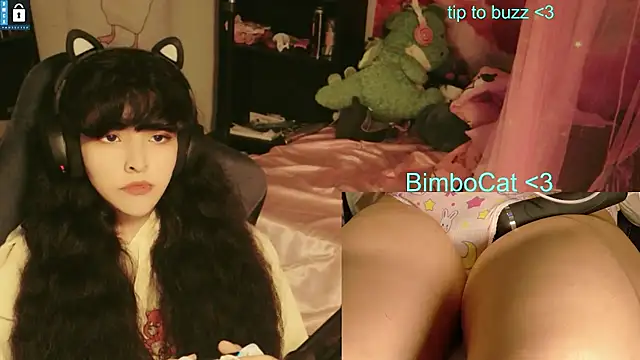 BimboCat webcam show