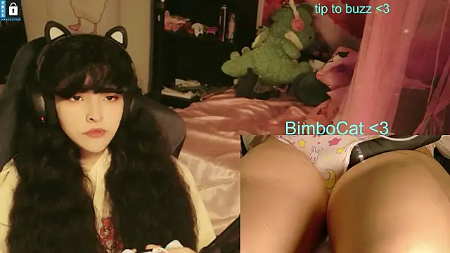 Show de BimboCat na webcam