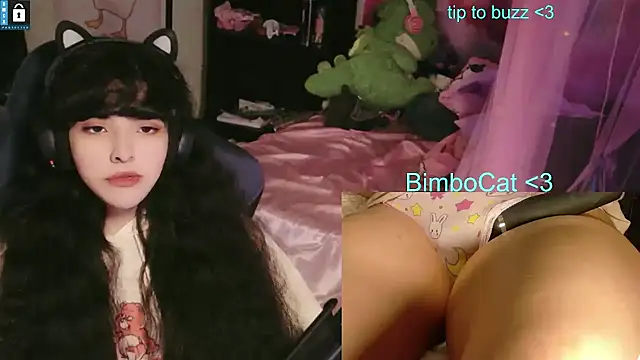 BimboCat webkamerás műsora