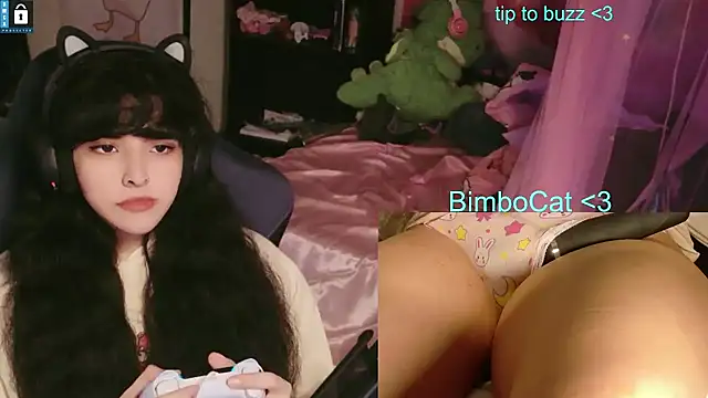BimboCat 网络视讯表演