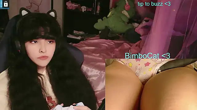 BimboCat's Webcam Show