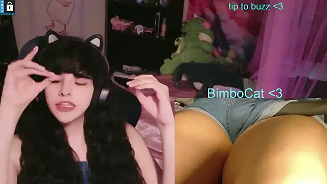 BimboCat: διαδικτυακό σόου στην κάμερα