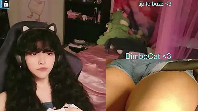 Show Webcam de BimboCat