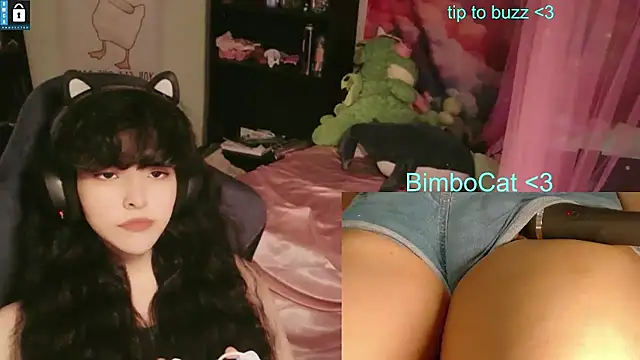 הופעת וובקאם של BimboCat