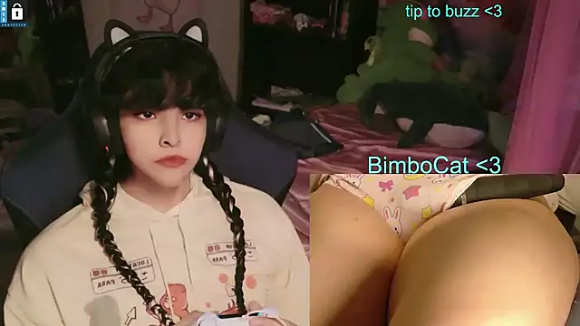 Show webcam de BimboCat