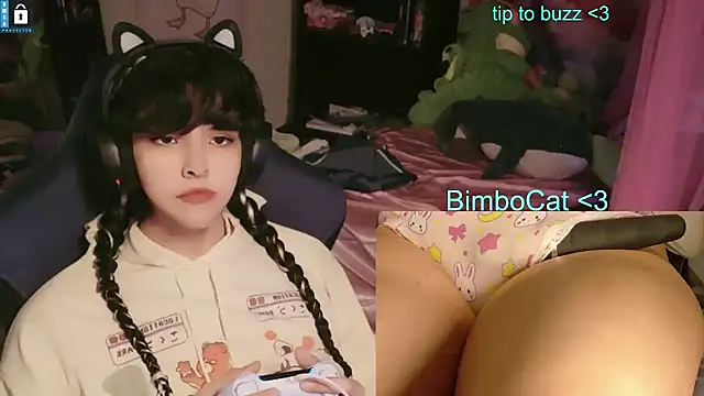 BimboCat: διαδικτυακό σόου στην κάμερα