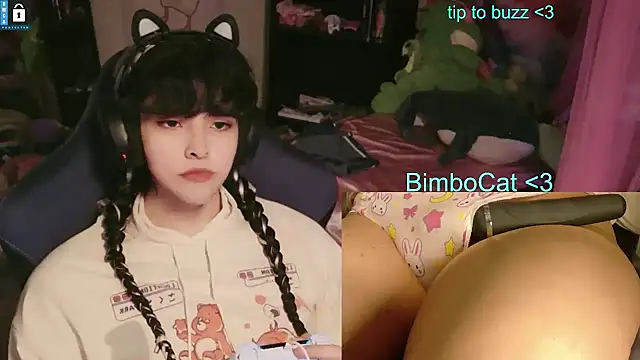 BimboCat webcam show