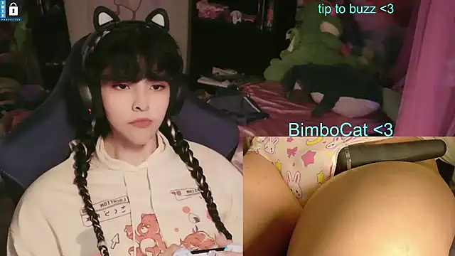 הופעת וובקאם של BimboCat