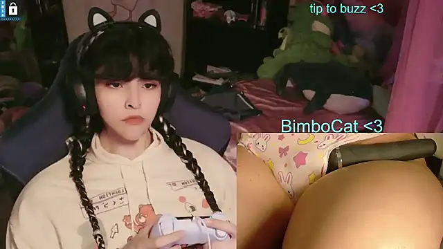 Pertunjukan Kamera Web BimboCat
