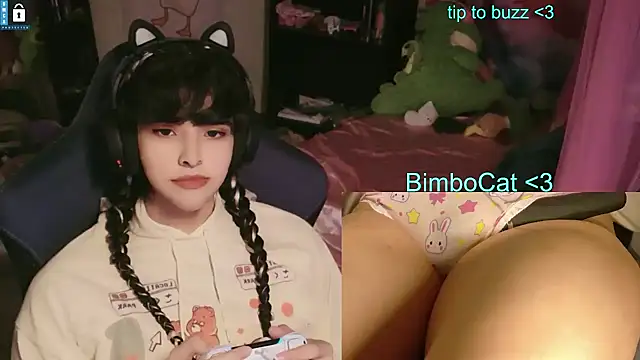 BimboCat Show in webcam