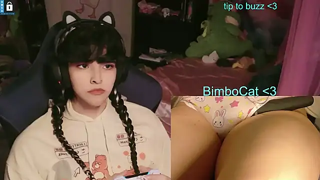 BimboCat: вебкам-шоу
