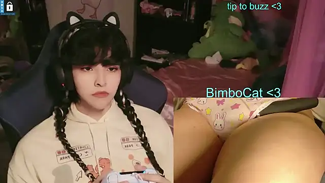 Show de BimboCat na webcam