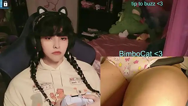BimboCat Show in webcam