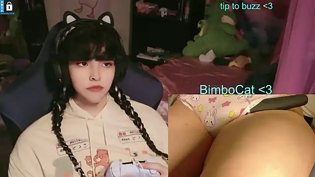 Show Webcam de BimboCat