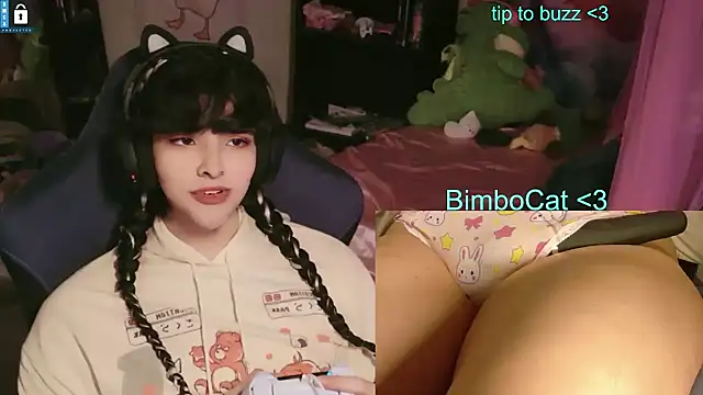 Show Webcam de BimboCat