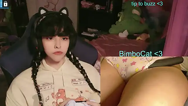 BimboCat: διαδικτυακό σόου στην κάμερα