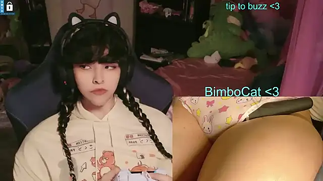 BimboCatn Webbikameraesitys