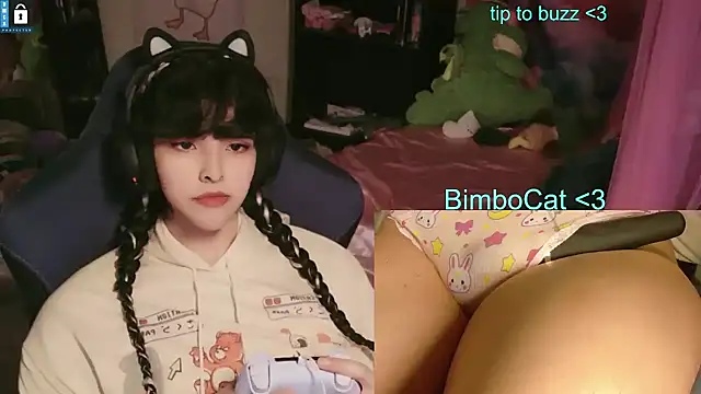 BimboCat: διαδικτυακό σόου στην κάμερα