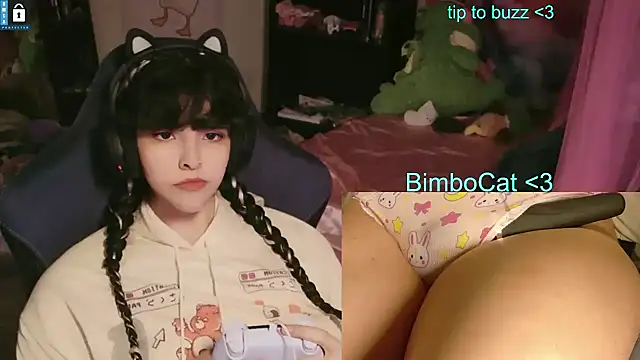 Show Webcam de BimboCat