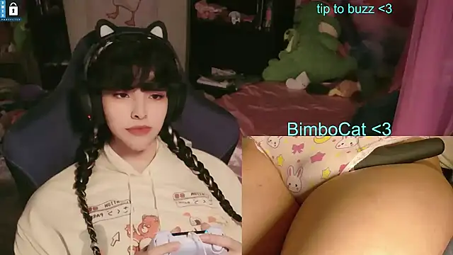Show webcam de BimboCat