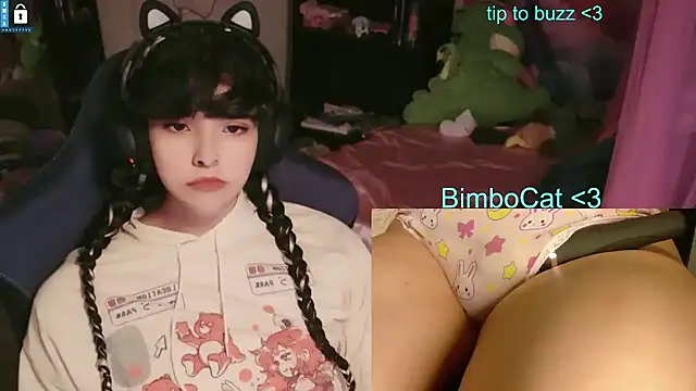 BimboCat Show Webcam