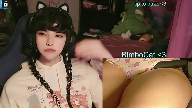 Show de BimboCat na webcam