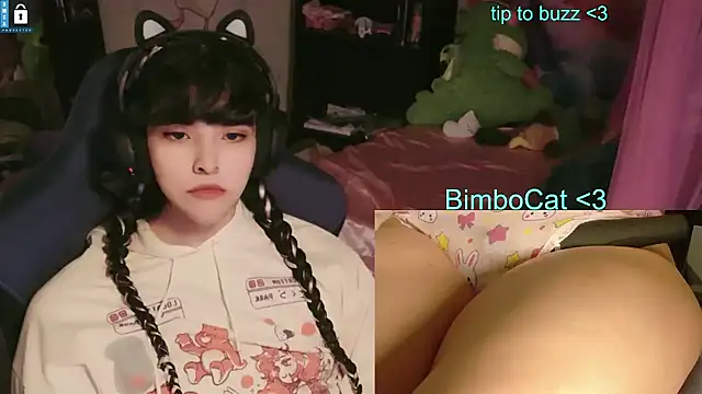 BimboCat Webcam show