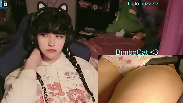 BimboCat 웹캠 쇼