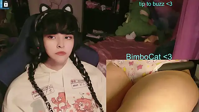 BimboCat Show Webcam