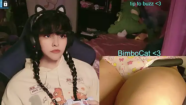 BimboCat: вебкам-шоу