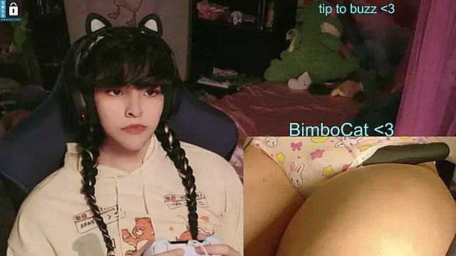 BimboCat: вебкам-шоу