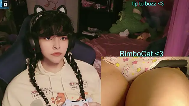 BimboCat 웹캠 쇼