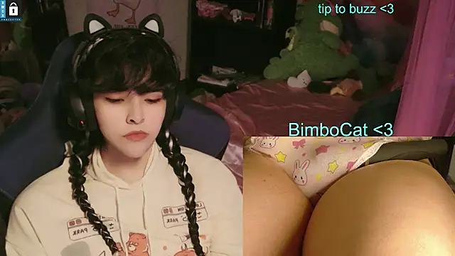 BimboCat: вебкам-шоу