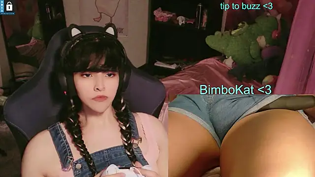 Show webcam de BimboCat