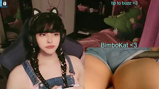 BimboCat webkamerás műsora