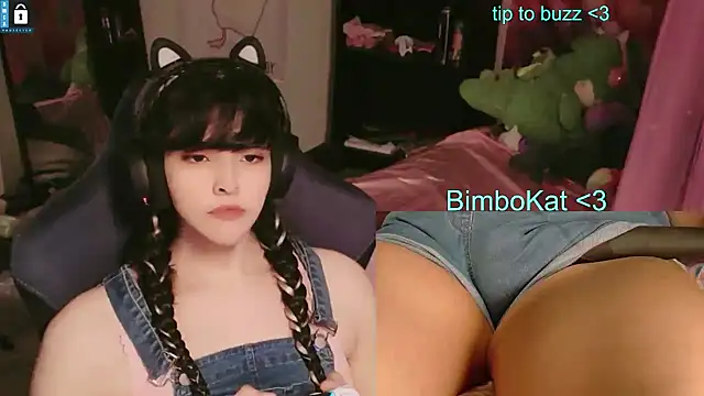 Show webcam de BimboCat