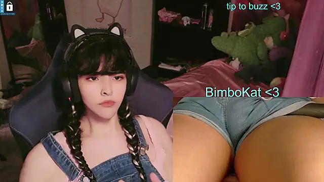 BimboCatのウェブカメラショー