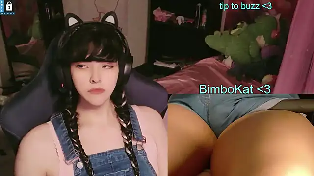 Show Webcam de BimboCat