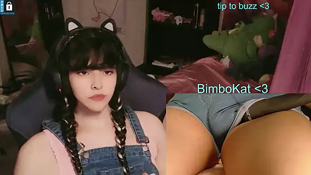 BimboCat: вебкам-шоу